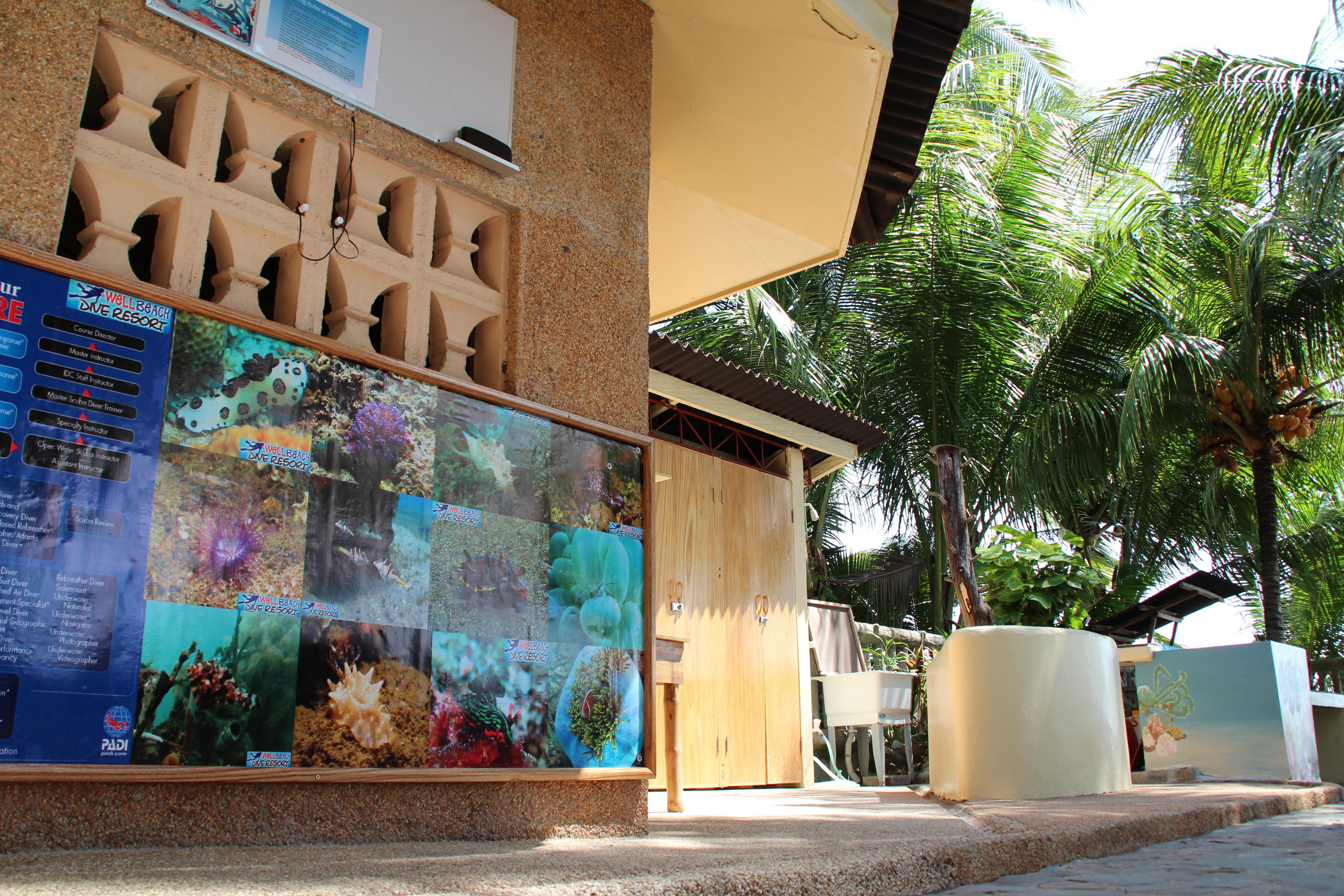 Wellbeach Dive Resort Zamboanguita  Ngoại thất bức ảnh