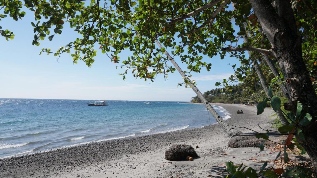 Wellbeach Dive Resort Zamboanguita  Ngoại thất bức ảnh